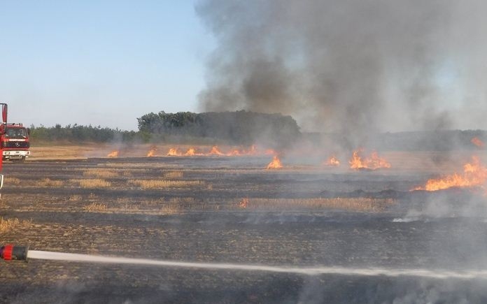 Égő kukoricatarlóhoz siettek a tamási tűzoltók