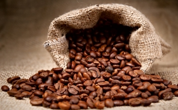 Jön a génmódosított kávé?