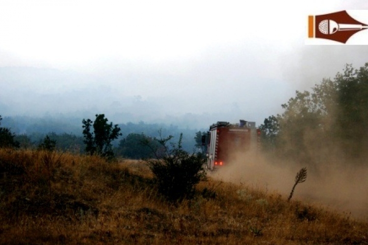 Harminc hektáron égett le az erdő a Bakonyban
