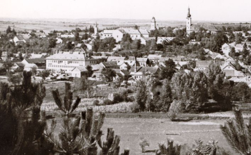 Hűséggel a Hazához Érdemkeresztet kap a Tamási Helytörténeti Alapítvány