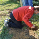 Készül az Aranyerdő óvoda kerítése