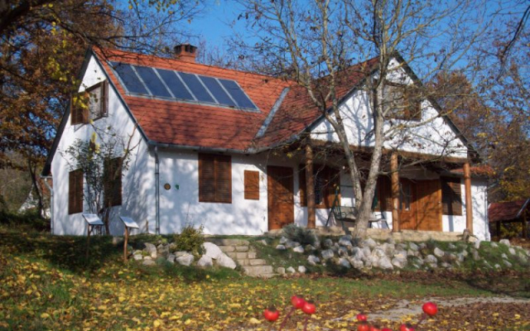 Gyűrűfűre látogathatnak a természetjárók