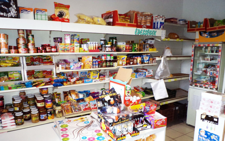 Helyszíni ellenőrzések zajlanak a héten Tolna megyében