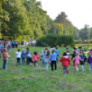 Trófeaszemle és szarvasbőgő élménytúra