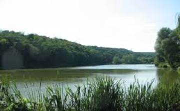 Sok voksot kapott Kisszékely az olvasóktól