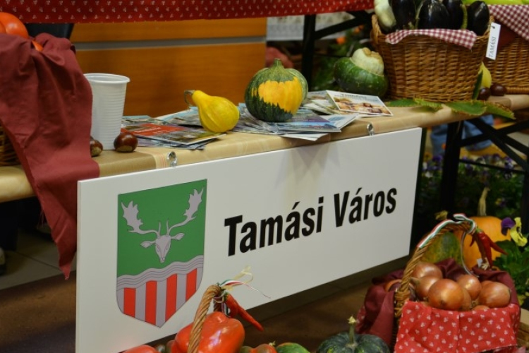 Közfoglalkoztatási Kiállítás és Konferencia Tamásiban