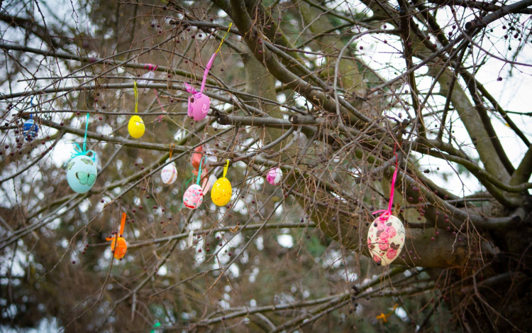 Közös ünnepvárás: feldíszítették a tojásfát