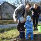 Faültetés a 2015-ben született gyermekek tiszteletére