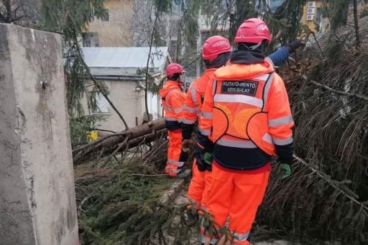 A szekszárdi kutató-mentők segítségére is nagy szükség volt hétvégén 