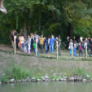 Trófeaszemle és szarvasbőgő élménytúra