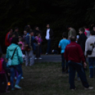 Trófeaszemle és szarvasbőgő élménytúra