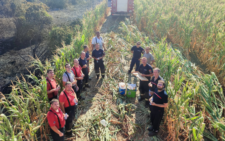Sok tűzoltó összehangolt munkája fékezte meg a hétfői tüzet