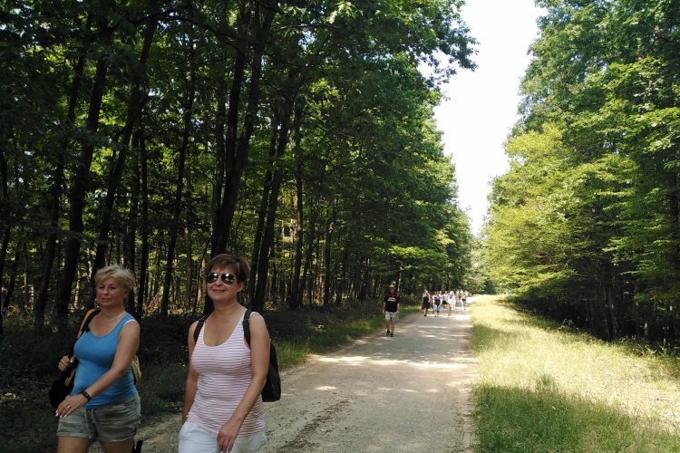 A Mecsekbe kirándultak a természetjárók