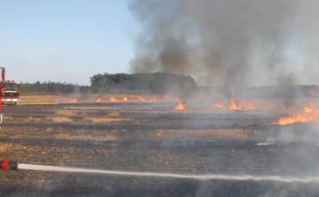 Égő kukoricatarlóhoz siettek a tamási tűzoltók