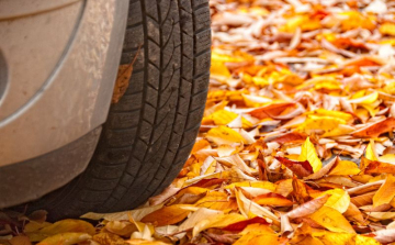 Itt van az ősz, itt van újra – az utakon is