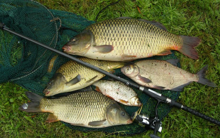 Orvhorgászok Ürgeváron