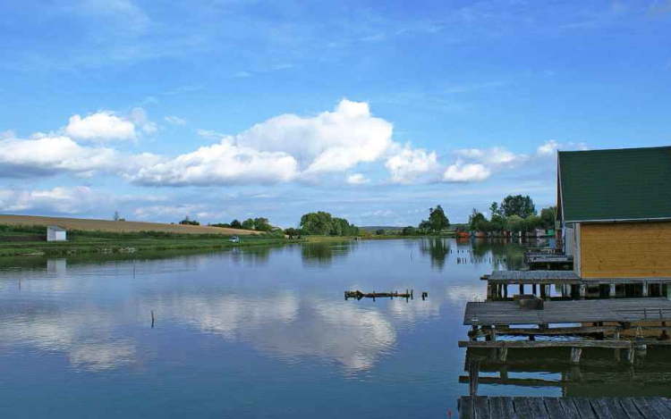 Kezdőktől a profikig