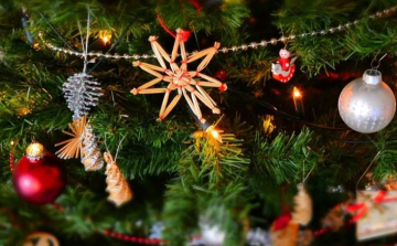 Karácsonyfák érkeztek a vármegye mentőállomásaira 