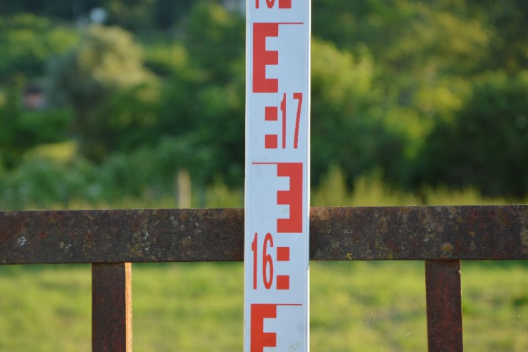 Vaskapunak lökte a testvérét