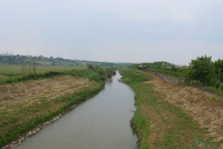 Feloldották a halfogási tilalmat két halfajra 
