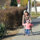 Faültetés a 2015-ben született gyermekek tiszteletére