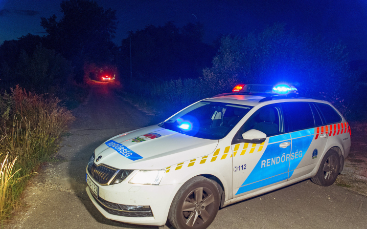 Tolna vármegye legnagyobb kábítószer kereskedője akart lenni, 13 év fegyház vár rá 