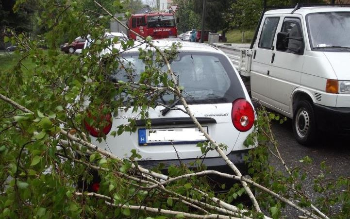 Kidőlt fákhoz vonultak a tűzoltók