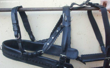 Lószerszámokat lopott a férfi