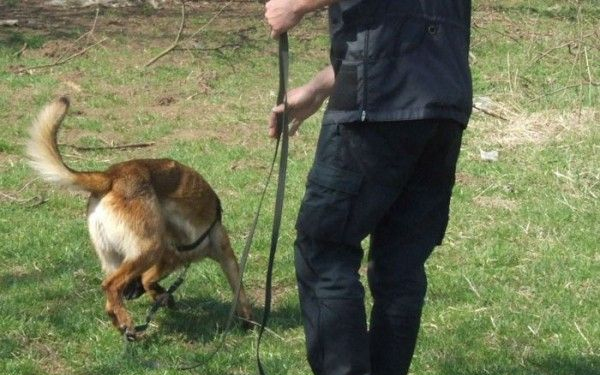 Eltűnt asszonyt kutattak fel