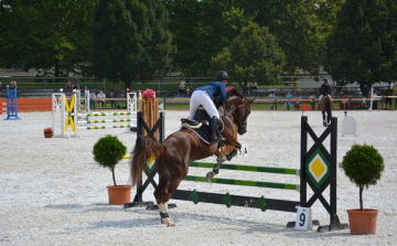 A jó idő beköszöntével élettel telik meg a tamási lovaspálya