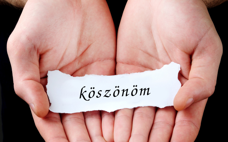 Köszönőlevél Tamásiba