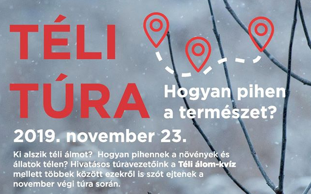 Hogyan pihen a természet?