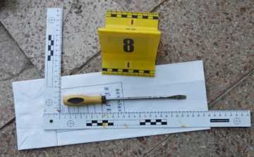 Menekülés közben fogták el