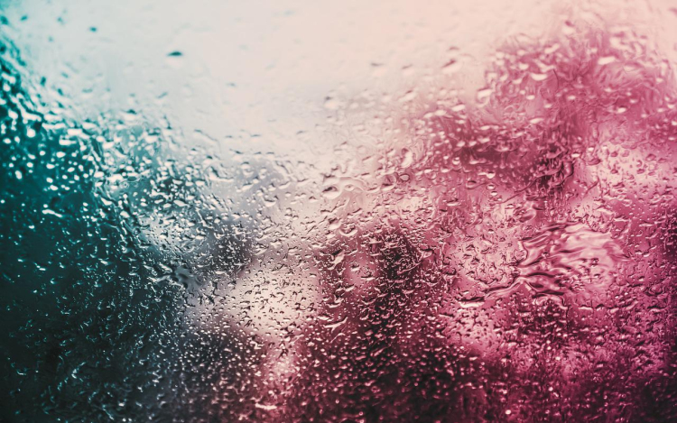 Szabályozott környezeti feltételek ipari páramentesítővel