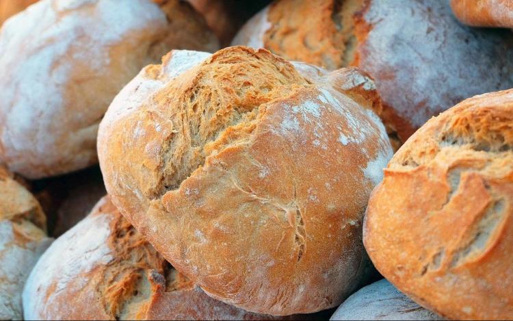 Tolna megyében is gyűjtik a búzát a Magyarok kenyeréhez