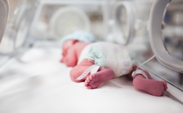 Újszülöttet találtak a miskolci megyei kórház inkubátorában
