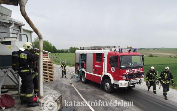 Ellenőrző gyakorlat a tamási húsüzemben