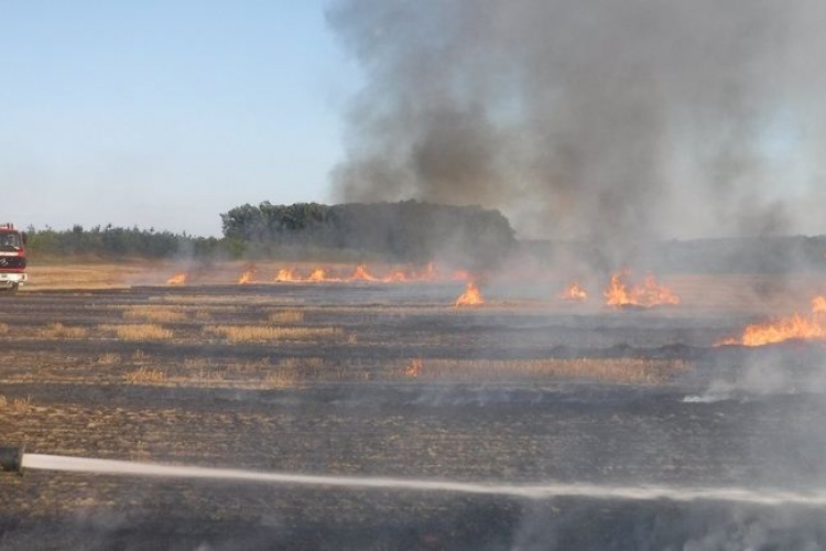 Égő kukoricatarlóhoz siettek a tamási tűzoltók