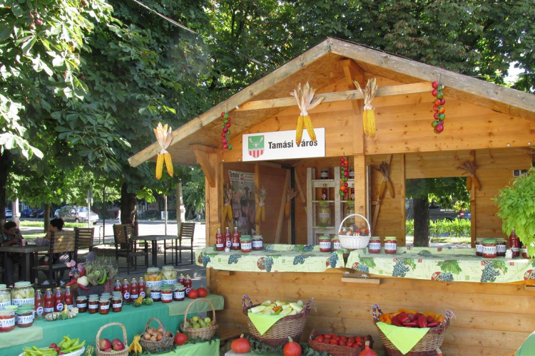 Hatodszor rendezték meg a Közfoglalkoztatási Kiállítást Tamásiban