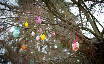Közös ünnepvárás: feldíszítették a tojásfát