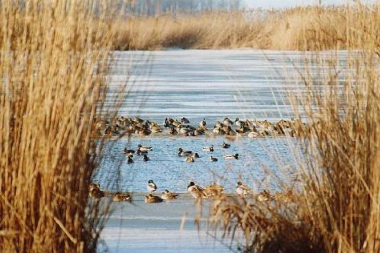 Lelőtte vadásztársát