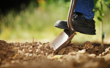 Elindultak a 2016. évi közfoglalkoztatási programok Tolna megyében