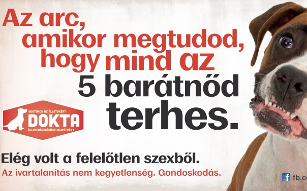 Az ivartalanítás nem kegyetlenség. Gondoskodás. 