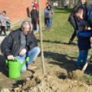 Faültetés a 2015-ben született gyermekek tiszteletére