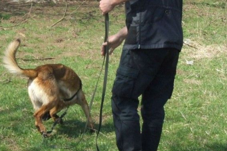 Eltűnt asszonyt kutattak fel