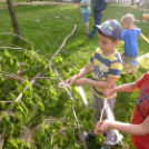 Májusfa állítás az oviban