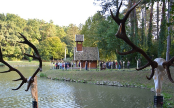 Gímtrófea szemle és szarvasbőgő élménytúra a parkerdőben