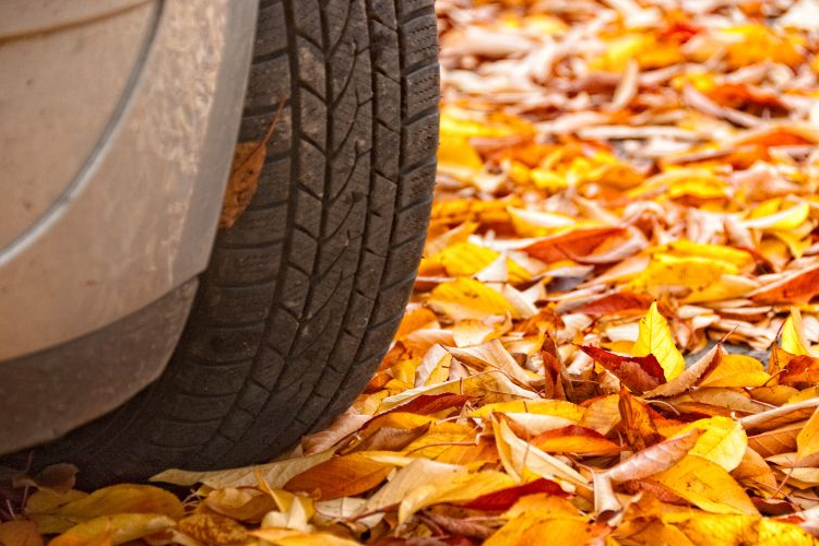 Itt van az ősz, itt van újra – az utakon is