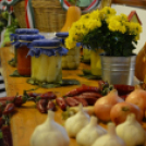 Közfoglalkoztatási konferencia