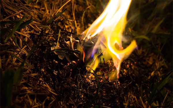 Lakossági tájékoztató a zöldhulladék kezeléséről Tamásiban